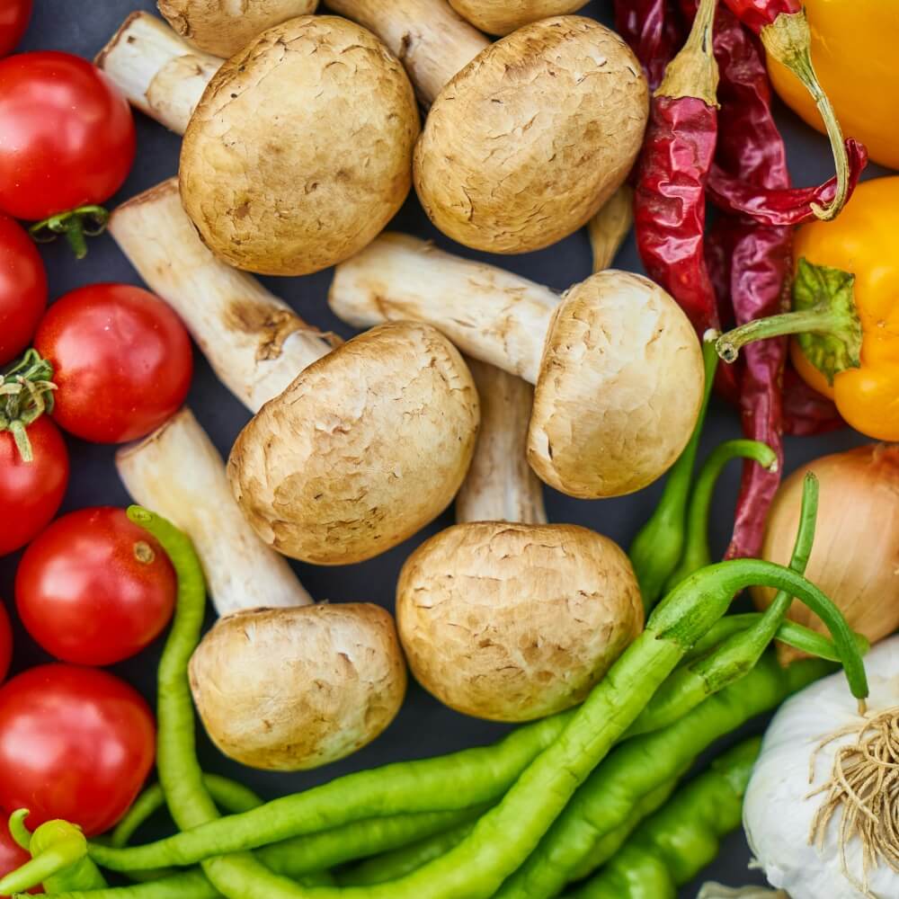 Programs 13 Nutrition results