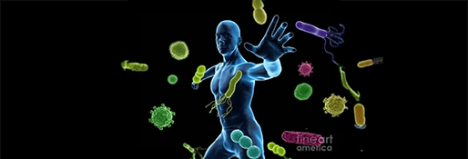 Immune system benefits